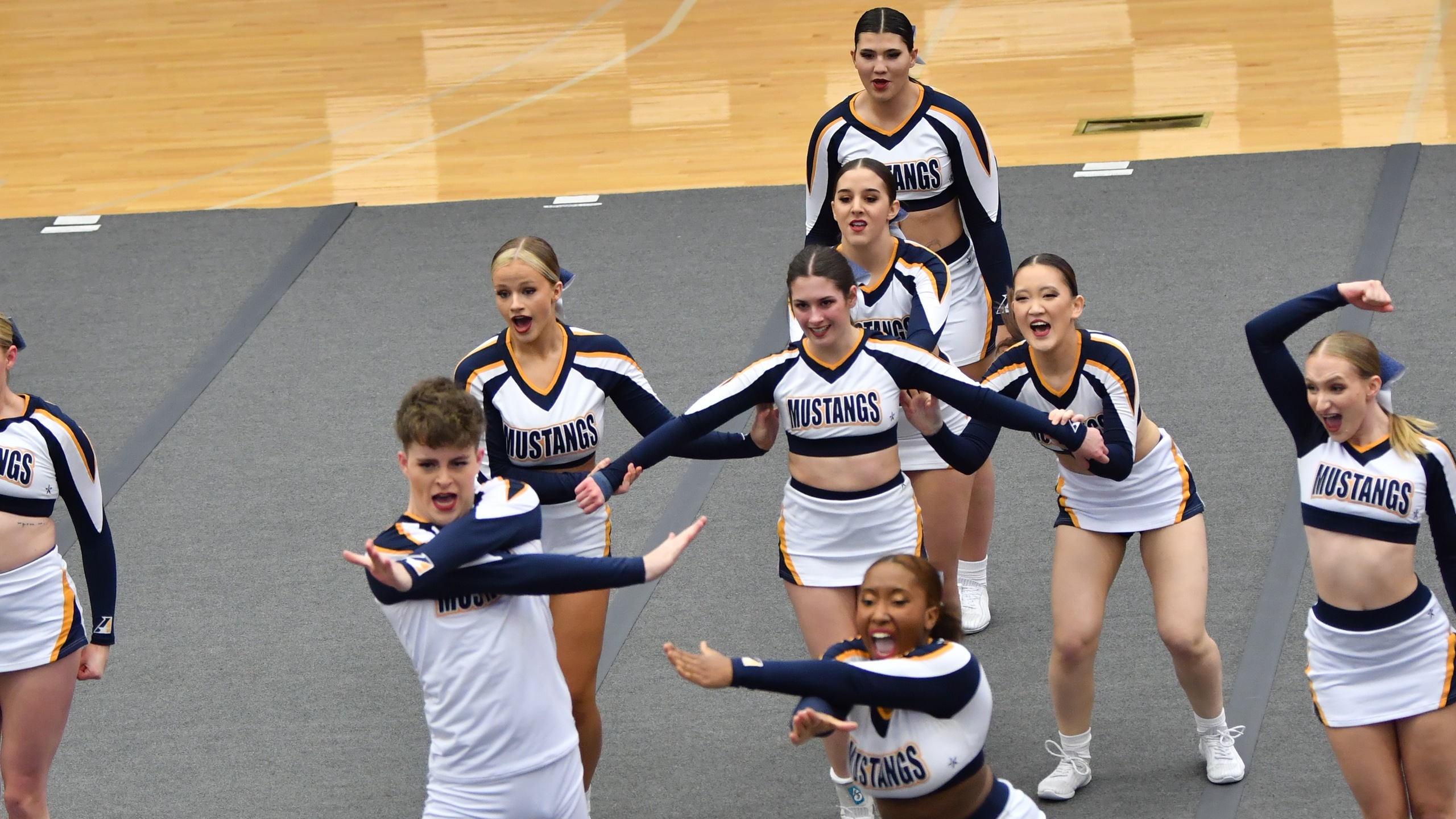 Cheer squad defeats York, places second in pair of duals