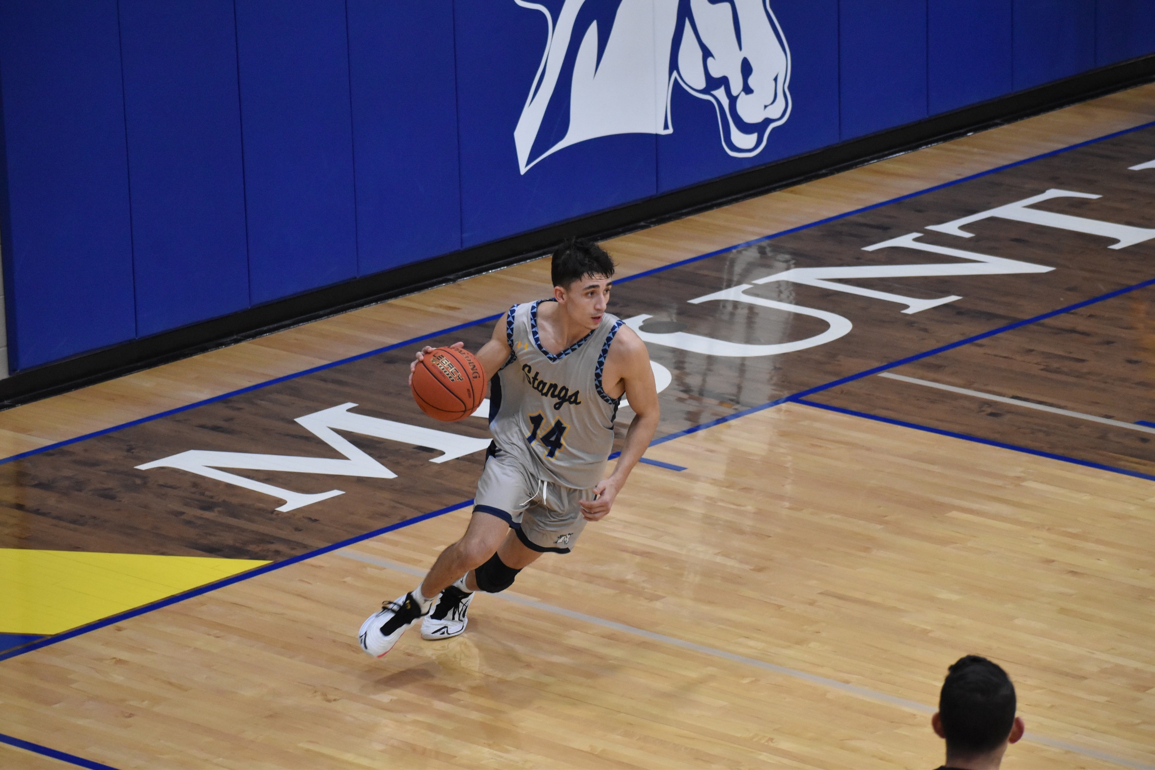 Fried's 22 Not Enough as Mustangs Fall to Pioneers