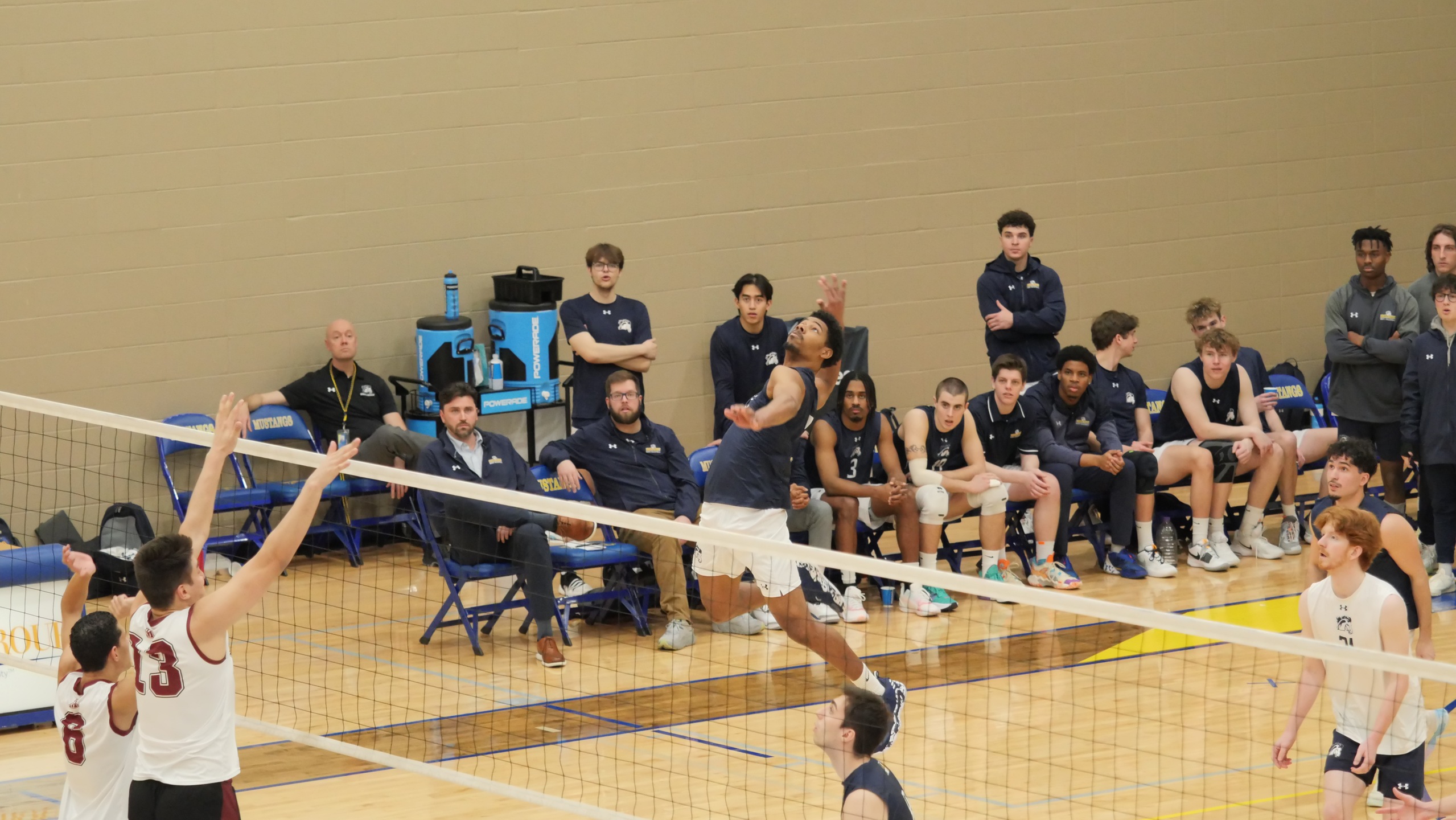 Mustangs Get Back in the Win Column, Sweeping UHSP