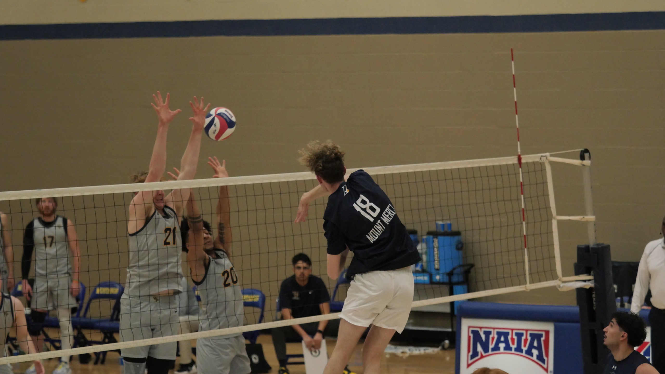 Mustangs split final regular season homestand