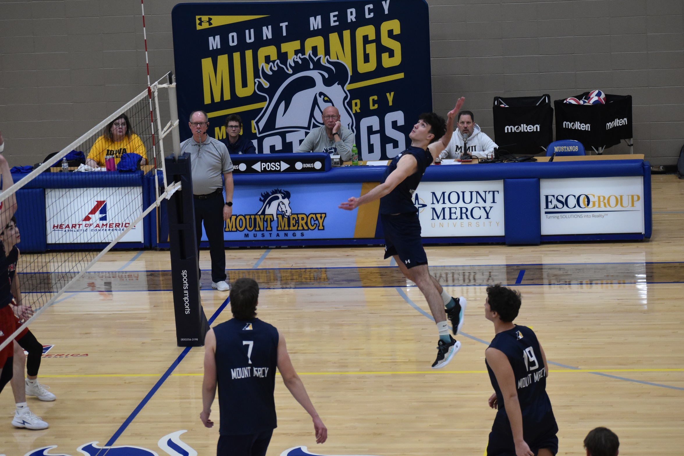 Mustangs Extend Win Streak After Defeating the Fighting Bees