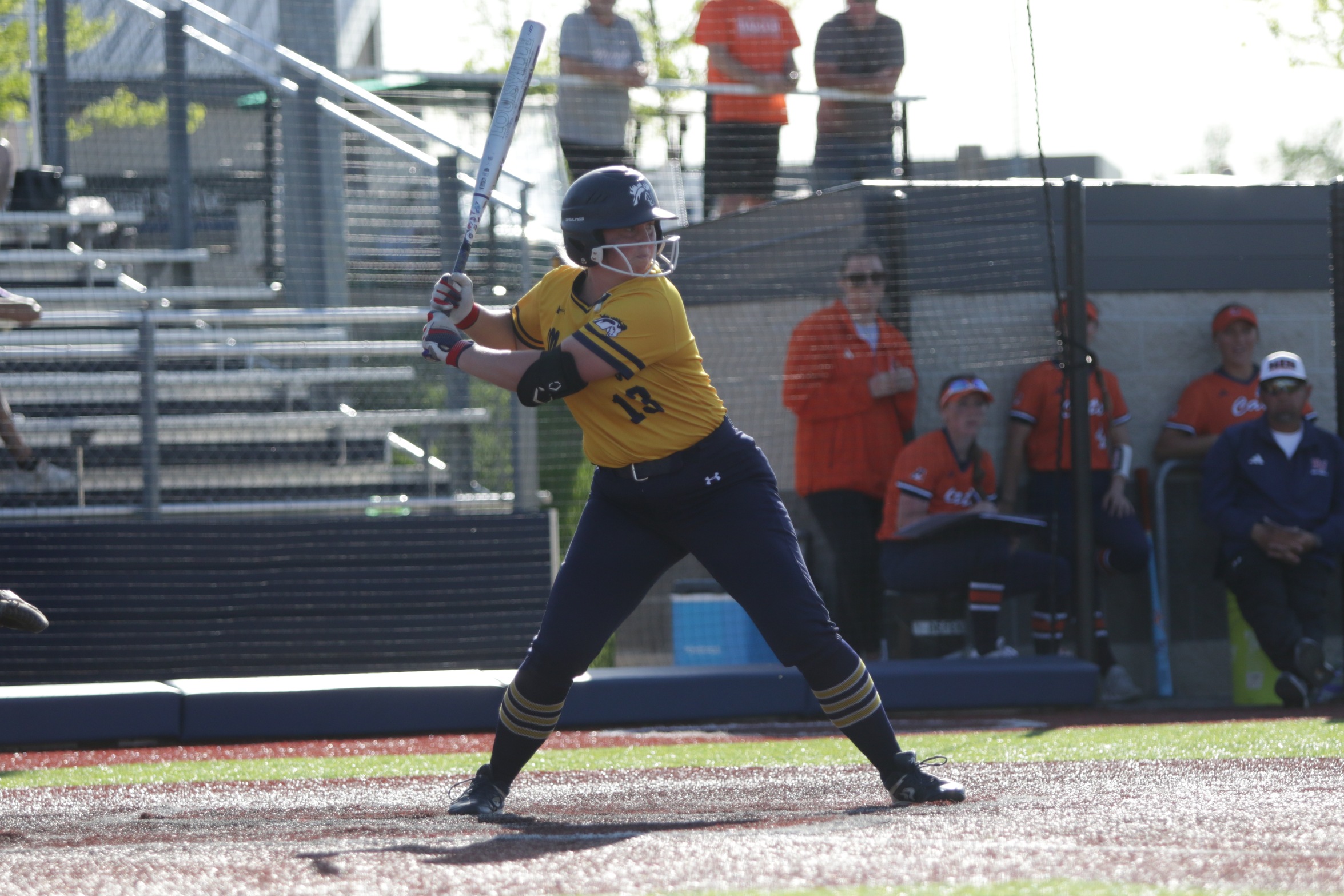 Mustangs Drop Two in Season Opener
