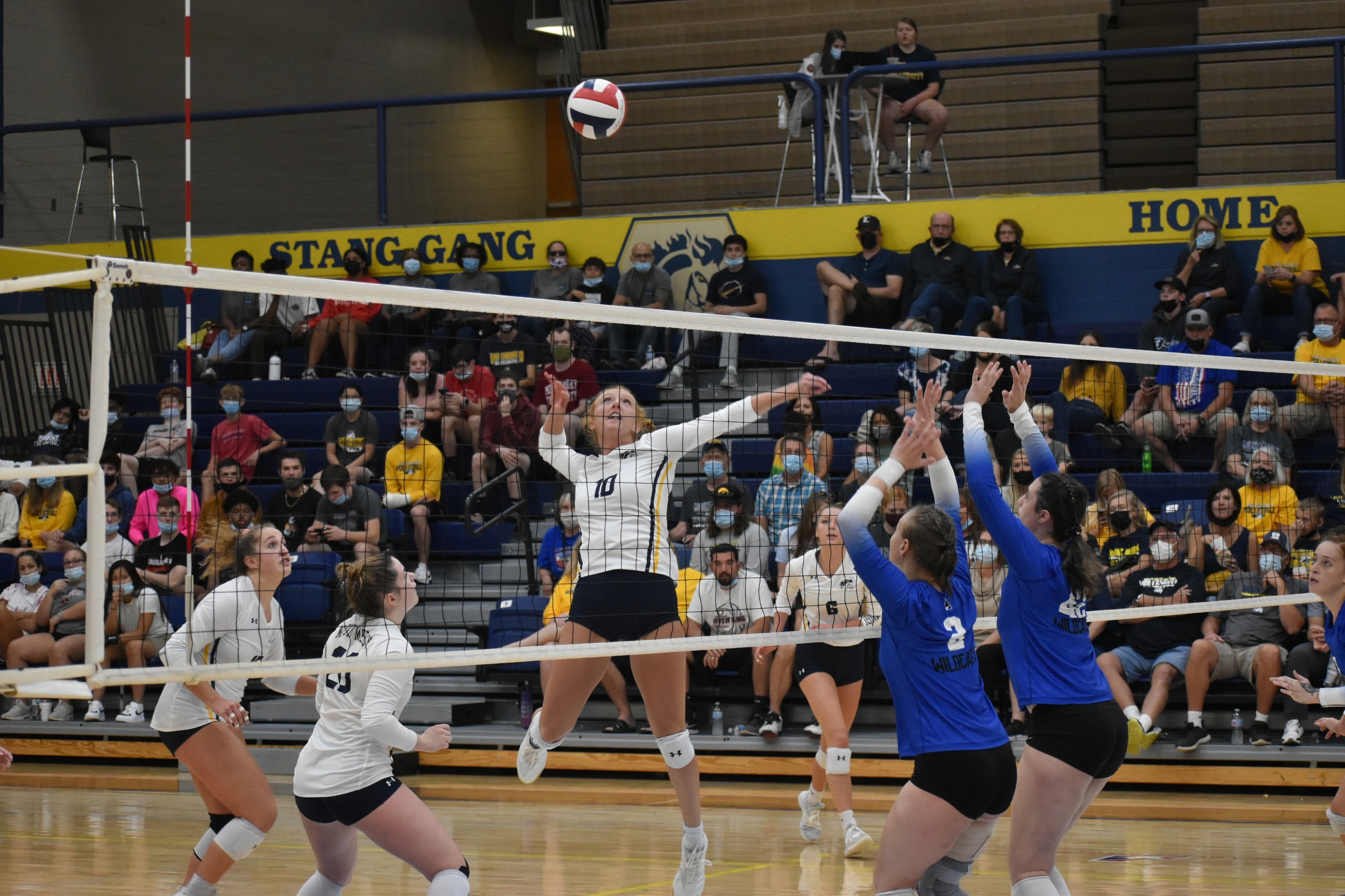 Mustangs extend winning streak to four