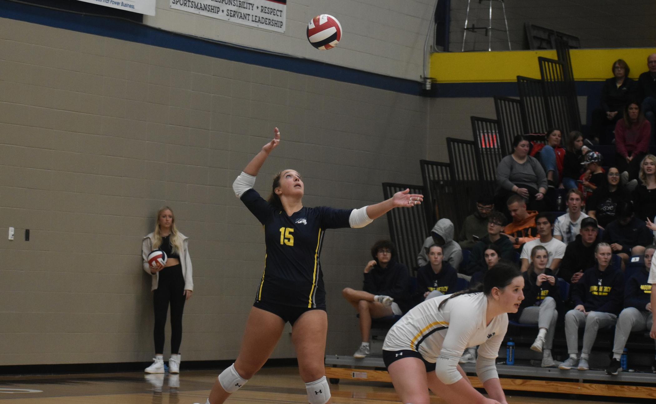 Mustangs split with Valor, Owls