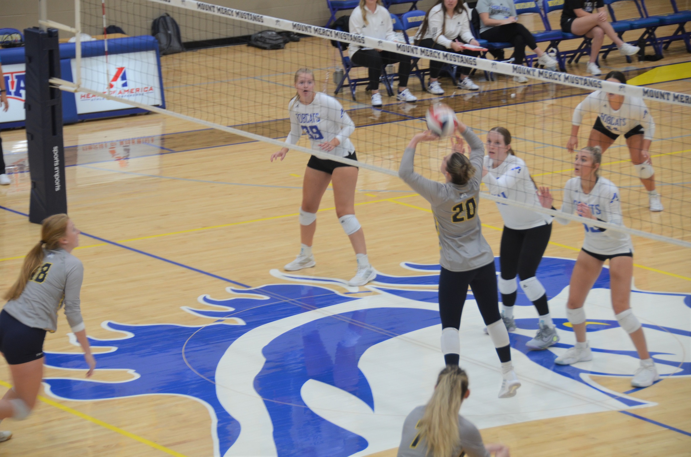 Mustangs trade road sweeps in Missouri