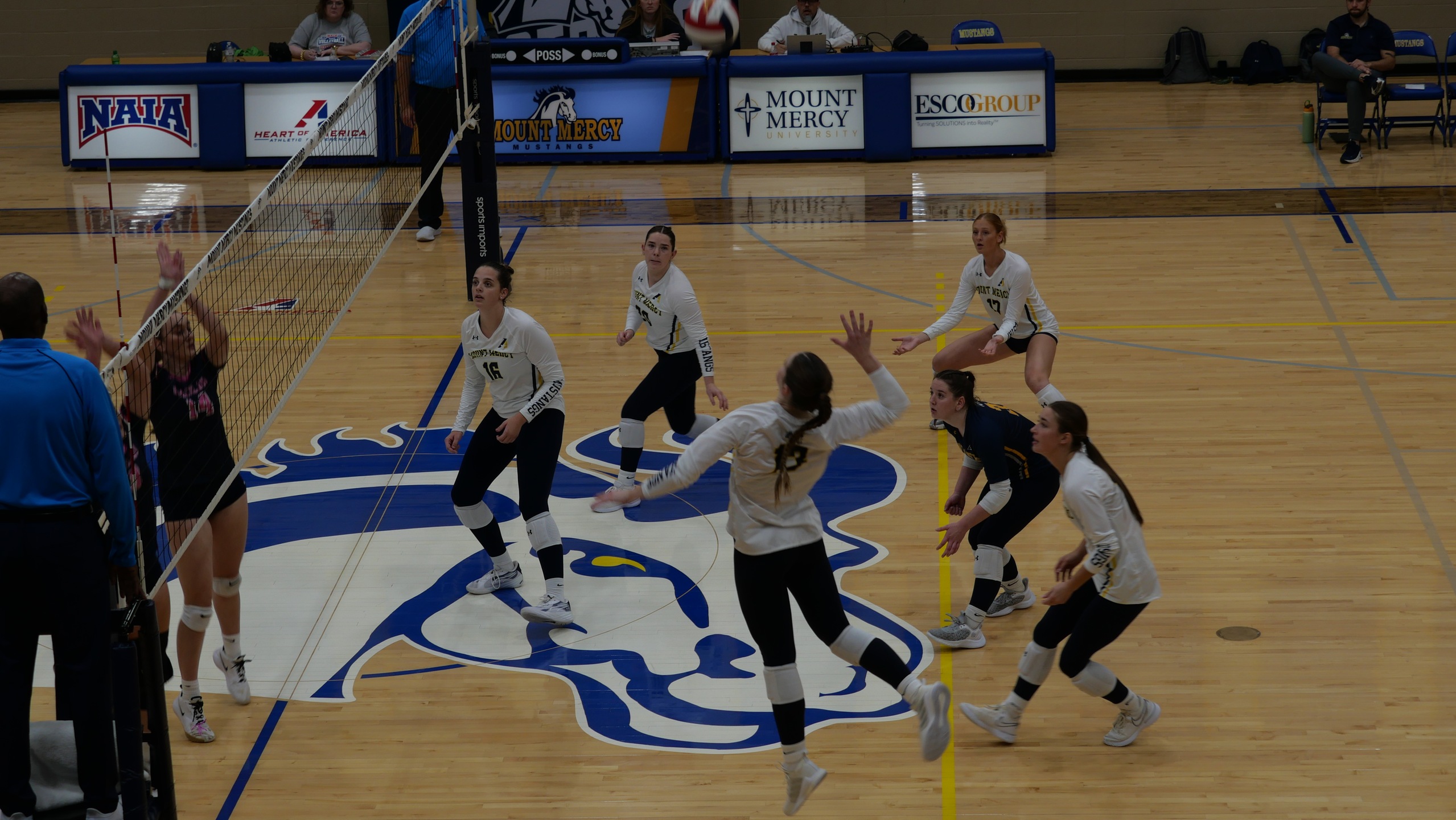 Mustang Offense Leads to Sweep Over the Statesmen